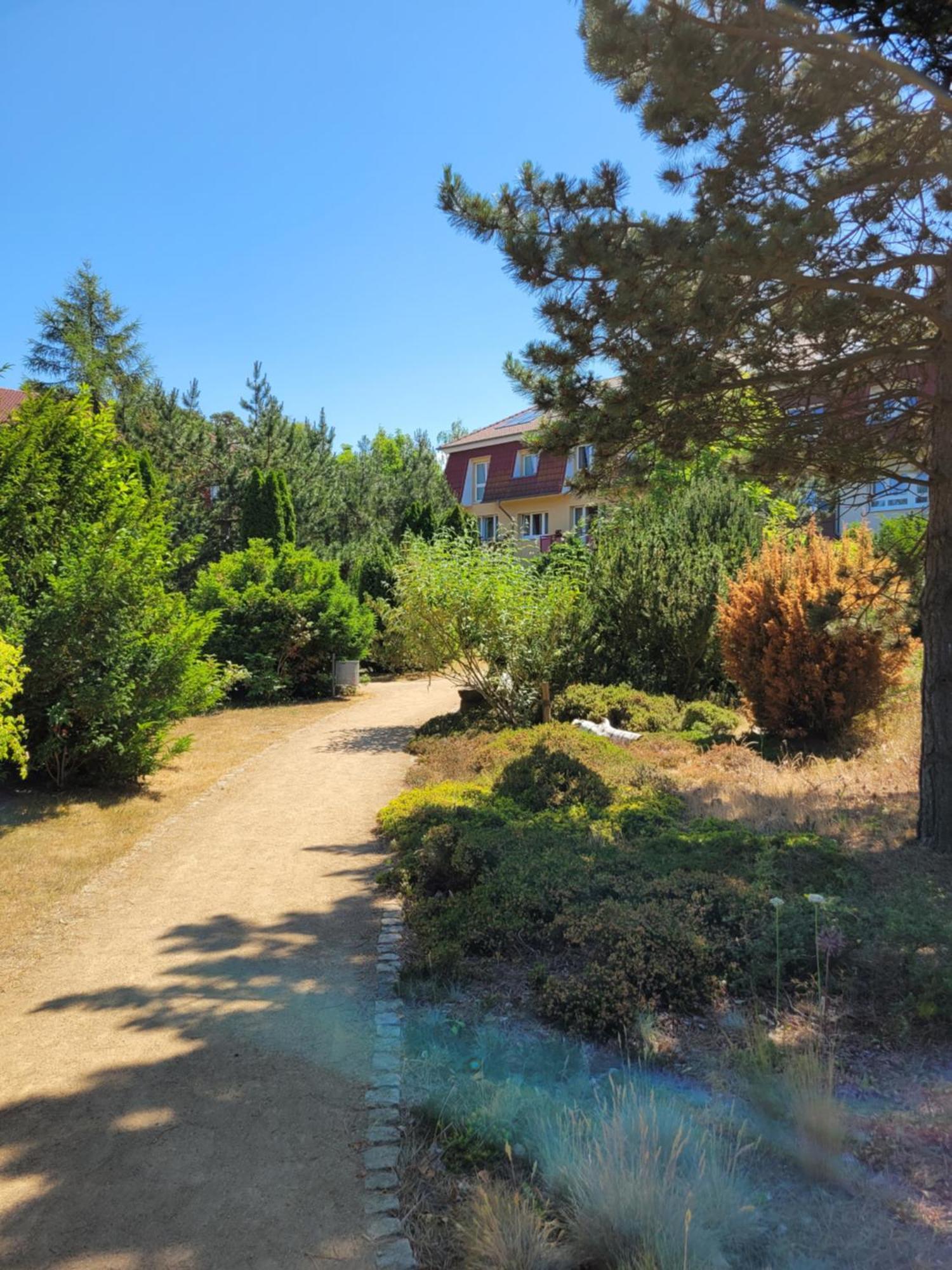 Apartment Im Duenengarten *