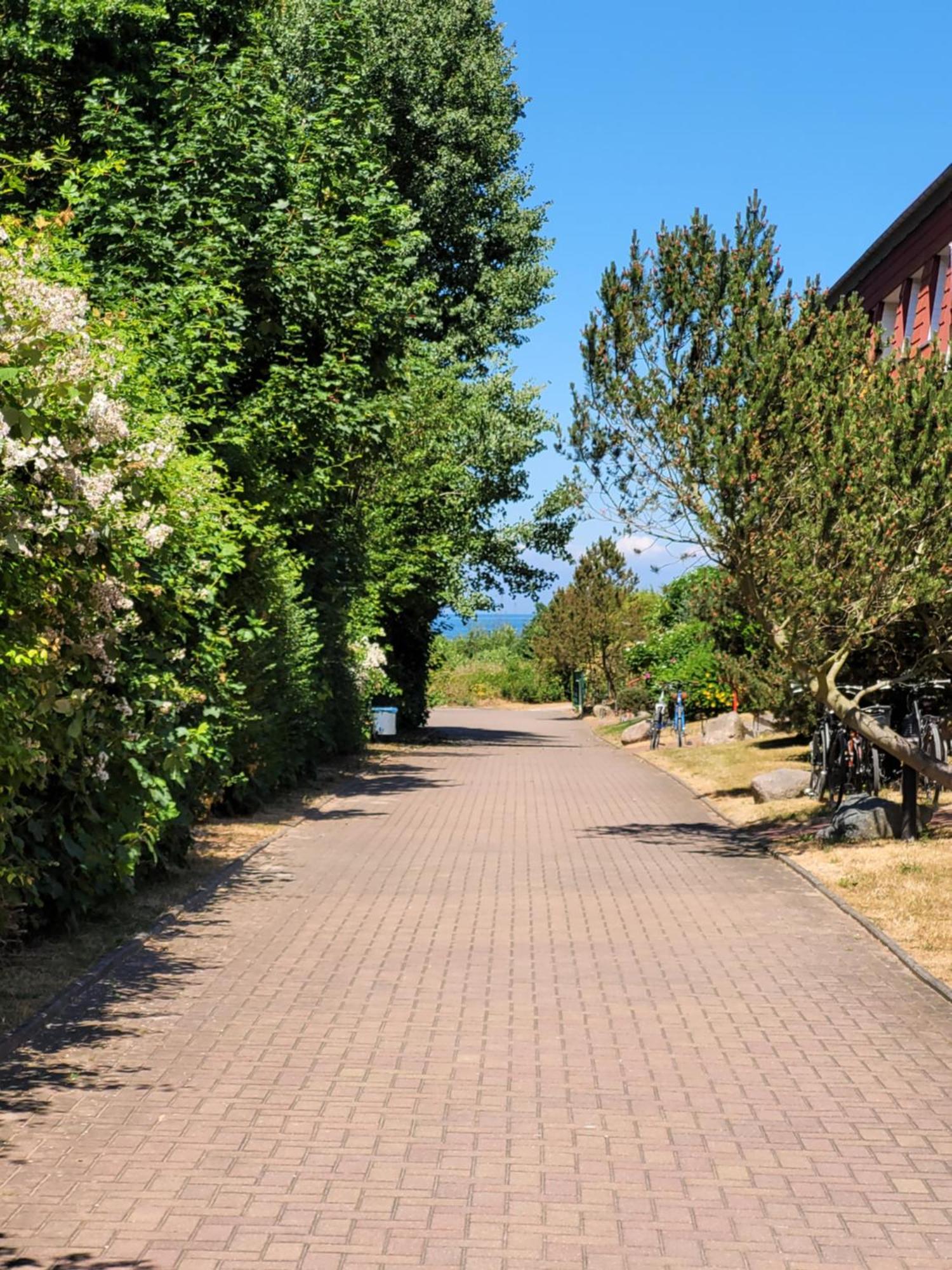 Apartment Im Duenengarten Kuehlungsborn
